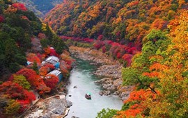Tour du lịch Nhật Bản 5 ngày - ngắm mùa thua lá đỏ