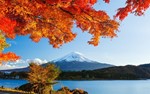 Tour Du Lịch Nhật Bản - Hà Nội - Tokyo - Hanoke - Núi Phú Sĩ 5 Ngày 4 Đêm