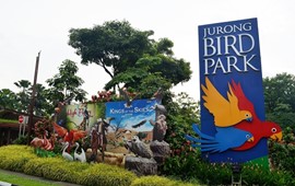 Tour Sentosa – Vườn chim Jurong - Garden By The Bay – Spectra Show