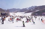 Tour Du Lịch Hàn Quốc Seoul - Lotte Word - Trượt Tuyết Yangjipine