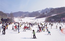 Tour Du Lịch Hàn Quốc Seoul - Lotte Word - Trượt Tuyết Yangjipine